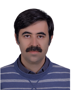 Torabzadeh Hossein